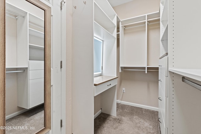 12206 Orange Grove Dr, Jacksonville, FL 32223 - walk in closet with carpet floors