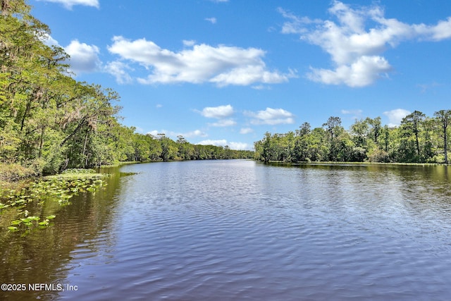 1304 Holmes Landing Dr, Fleming Island, FL 32003 - photo 44