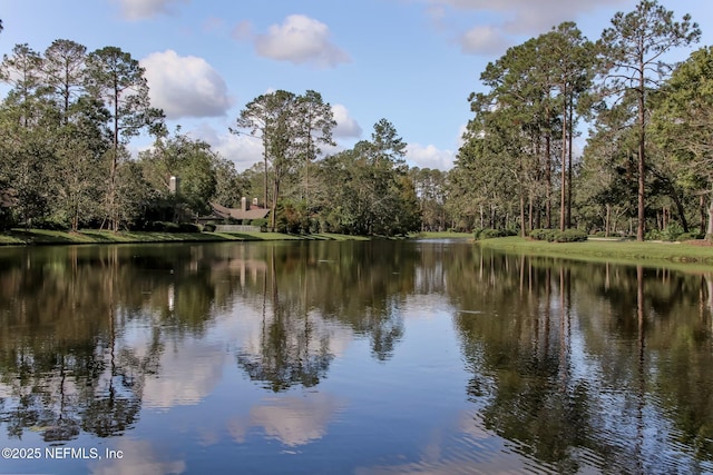 1912 Bluebonnet Way, Fleming Island, FL 32003 - water view