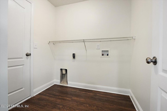 409 Spring Ridge Ct, Saint Augustine, FL 32092 - laundry room with hookup for a washing machine and dark wood-style flooring