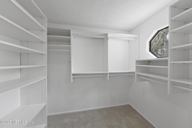 511 Selva Lakes Cir, Atlantic Beach, FL 32233 - walk in closet featuring carpet