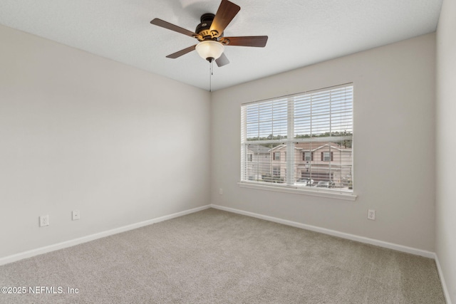 12079 Narrowleaf Ct, Jacksonville, FL 32225 - photo 34