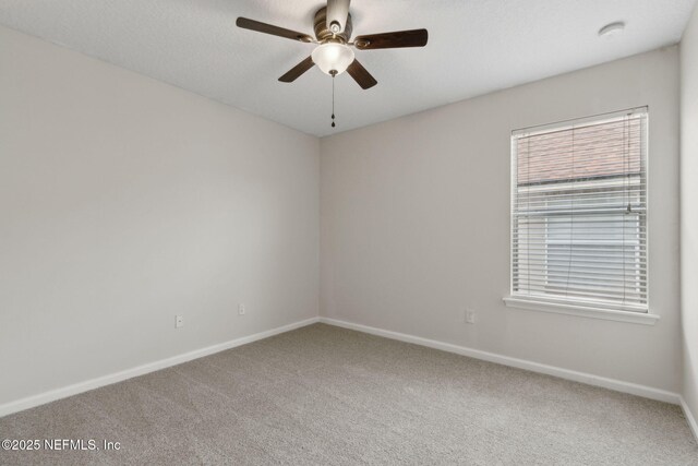 12079 Narrowleaf Ct, Jacksonville, FL 32225 - photo 36