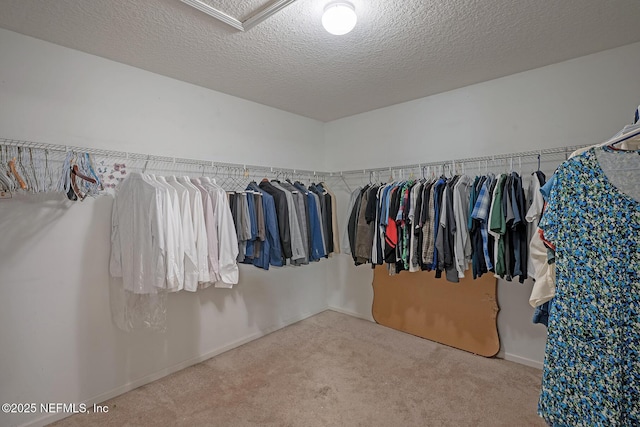 1341 River City St, Saint Augustine, FL 32092 - spacious closet with carpet flooring