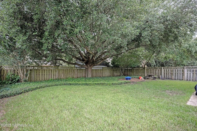 1341 River City St, Saint Augustine, FL 32092 - view of fenced backyard