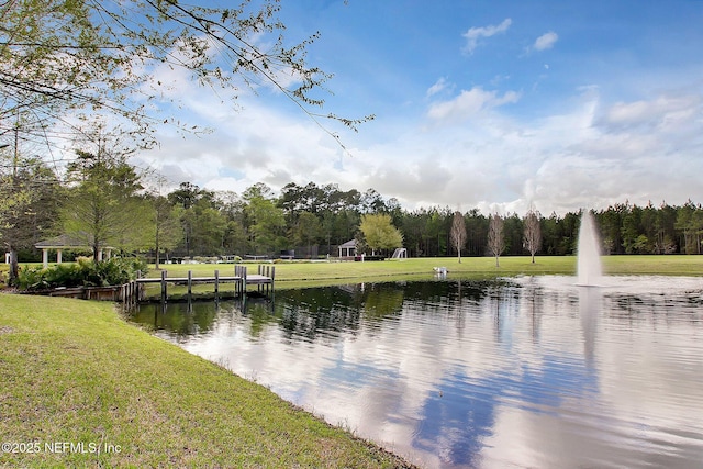 85207 Majestic Walk Blvd, Fernandina Beach, FL 32034 - photo 85