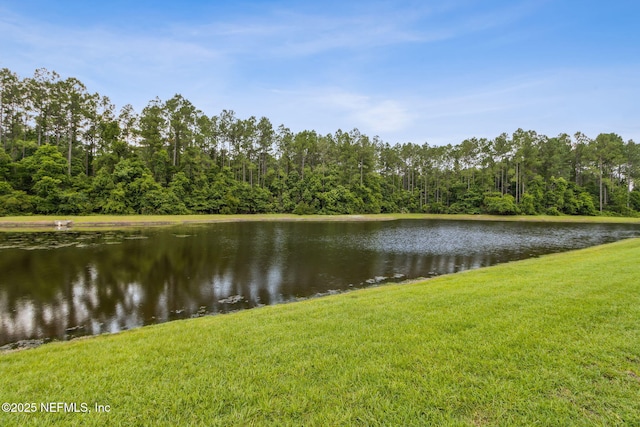 85207 Majestic Walk Blvd, Fernandina Beach, FL 32034 - photo 56