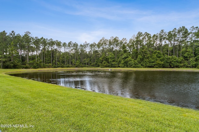 85207 Majestic Walk Blvd, Fernandina Beach, FL 32034 - photo 55