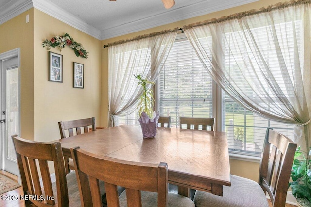 3950 Eden Estate Trl, Middleburg, FL 32068 - photo 27