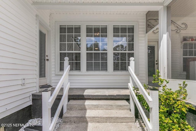 3950 Eden Estate Trl, Middleburg, FL 32068 - photo 56