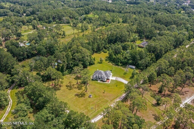3950 Eden Estate Trl, Middleburg, FL 32068 - photo 63