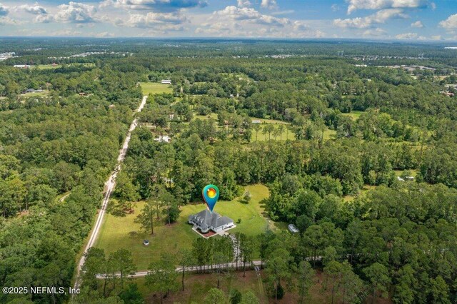 3950 Eden Estate Trl, Middleburg, FL 32068 - photo 65