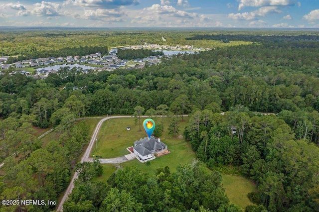 3950 Eden Estate Trl, Middleburg, FL 32068 - photo 67
