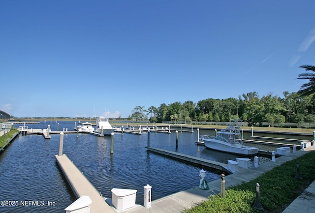14402 Marina San Pablo Pl Unit 203, Jacksonville, FL 32224 - dock featuring a water view