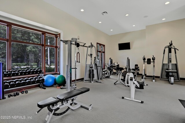14402 Marina San Pablo Pl Unit 203, Jacksonville, FL 32224 - workout area with recessed lighting and carpet floors