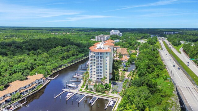 14402 Marina San Pablo Pl Unit 203, Jacksonville, FL 32224 - bird's eye view of a large body of water and a forest