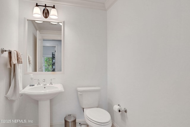 14402 Marina San Pablo Pl Unit 203, Jacksonville, FL 32224 - half bath featuring crown molding and toilet
