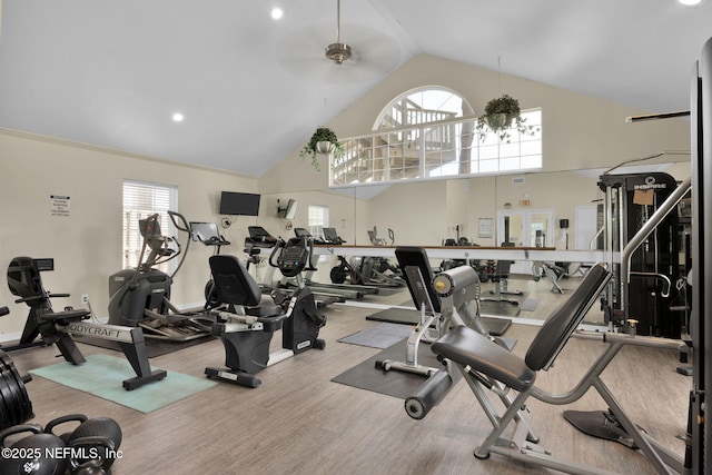 107 Hammock Cir, Saint Augustine, FL 32084 - exercise room with plenty of natural light, high vaulted ceiling, ceiling fan, and wood finished floors