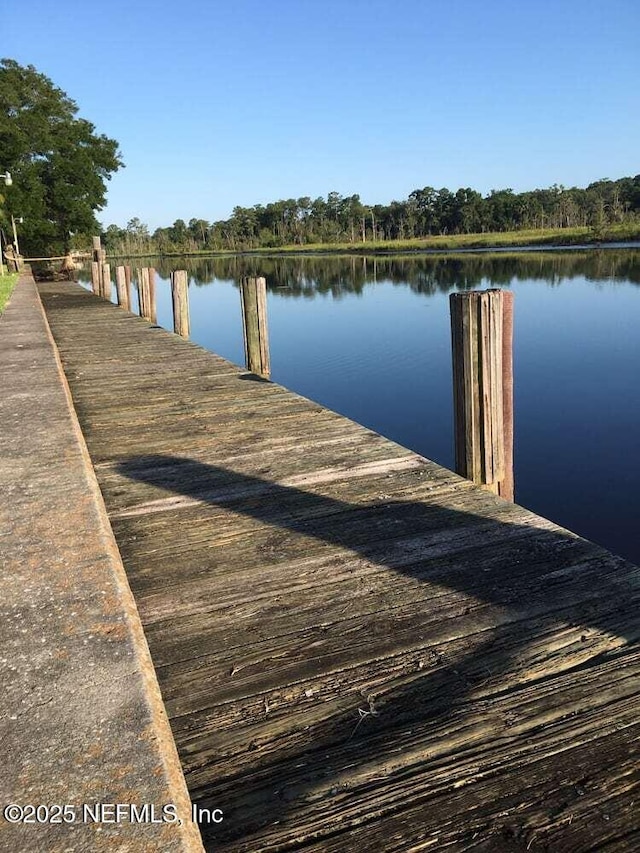 1713 El Camino Rd Unit 3, Jacksonville, FL 32216 - dock area with a water view