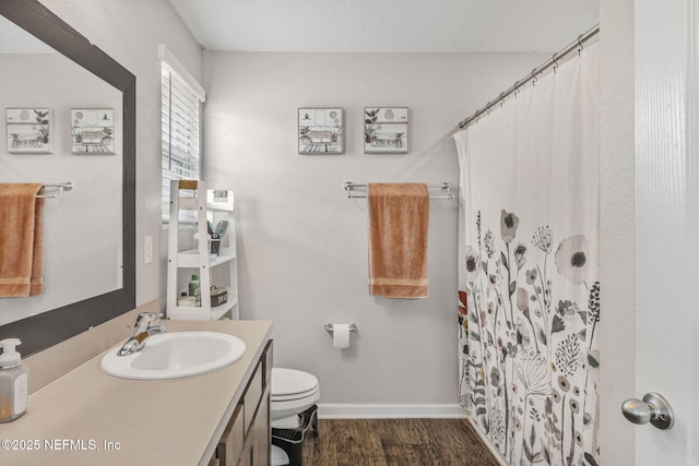 4433 Warm Springs Way, Middleburg, FL 32068 - bathroom featuring vanity, wood finished floors, and a shower with curtain