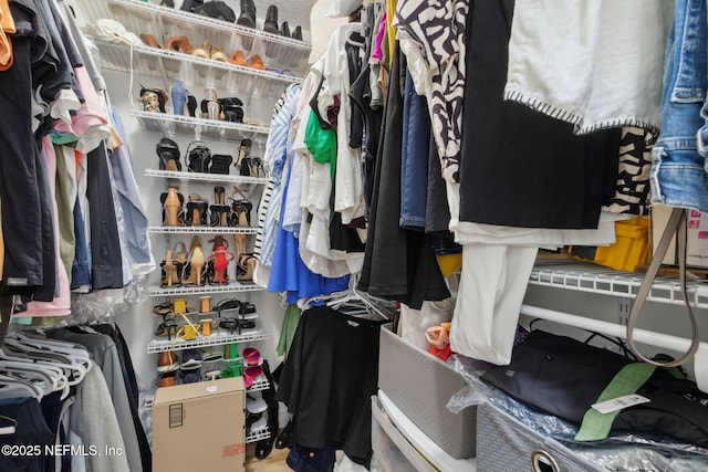 13967 Devan Lee Dr N, Jacksonville, FL 32226 - view of walk in closet