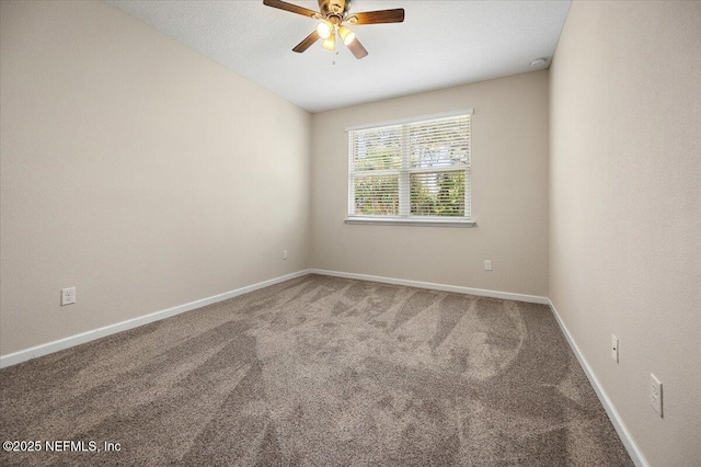 165 Leeward Island Dr, Saint Augustine, FL 32080 - photo 16