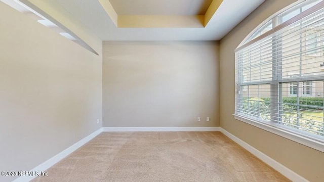 1911 Salt Creek Dr, Fleming Island, FL 32003 - spare room featuring plenty of natural light, light colored carpet, and a tray ceiling