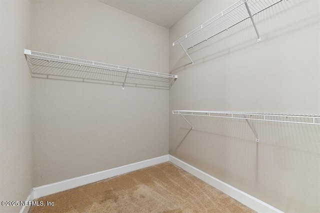 1911 Salt Creek Dr, Fleming Island, FL 32003 - spacious closet featuring carpet flooring