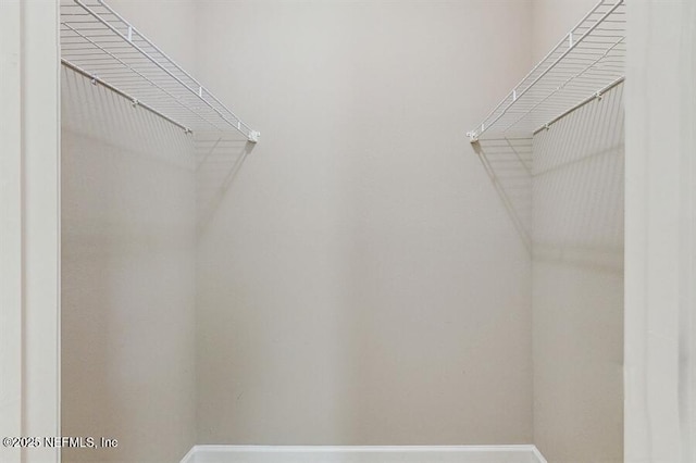1911 Salt Creek Dr, Fleming Island, FL 32003 - view of spacious closet