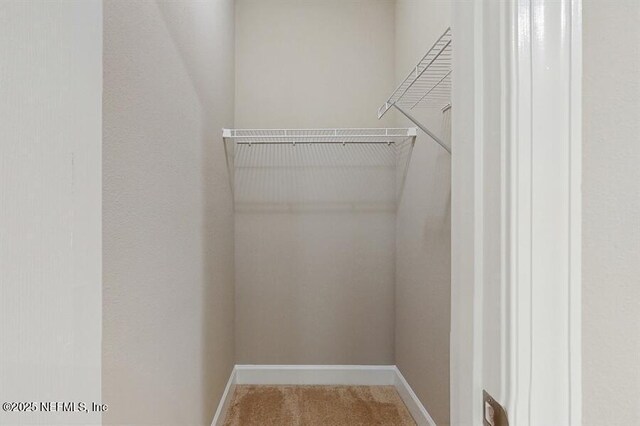 1911 Salt Creek Dr, Fleming Island, FL 32003 - spacious closet with carpet