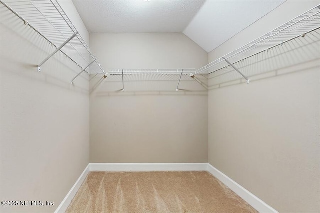 1911 Salt Creek Dr, Fleming Island, FL 32003 - walk in closet featuring carpet and lofted ceiling