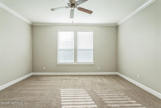 10761 John Randolph Dr, Jacksonville, FL 32257 - photo 14