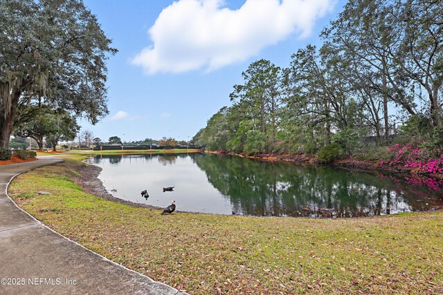 1917 Salt Creek Dr, Fleming Island, FL 32003 - photo 54
