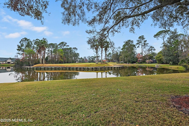 1917 Salt Creek Dr, Fleming Island, FL 32003 - photo 55