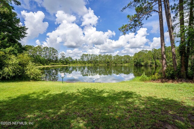 2461 Tanner Lake Ct, Jacksonville, FL 32221 - photo 30