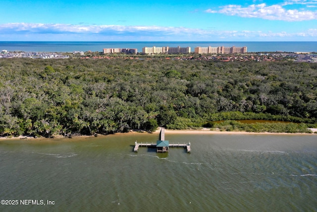 7 Los Lagos Blvd, Palm Coast, FL 32137 - bird's eye view of a nearby body of water
