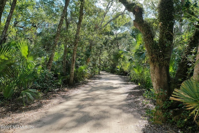 7 Los Lagos Blvd, Palm Coast, FL 32137 - view of road
