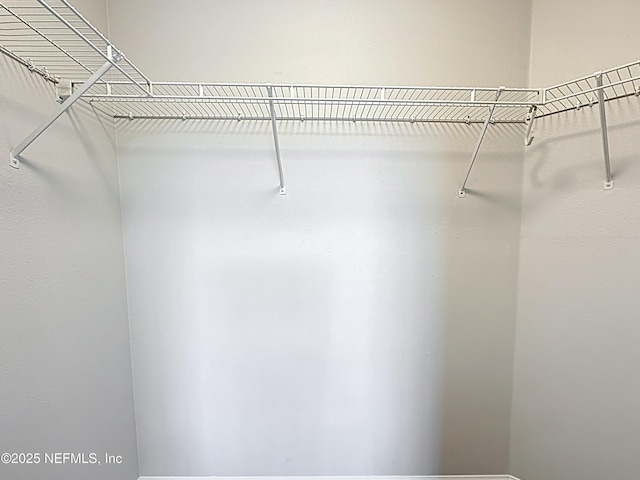 3591 Kernan Blvd S Unit 127, Jacksonville, FL 32224 - view of walk in closet