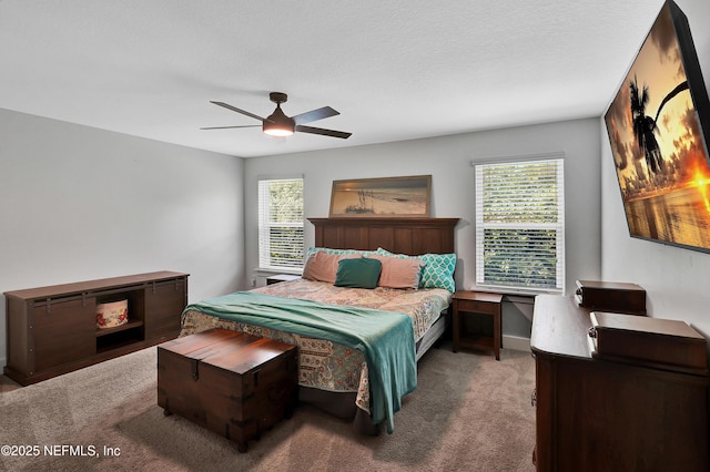 13463 Cedar Hammock Way, Jacksonville, FL 32226 - photo 29