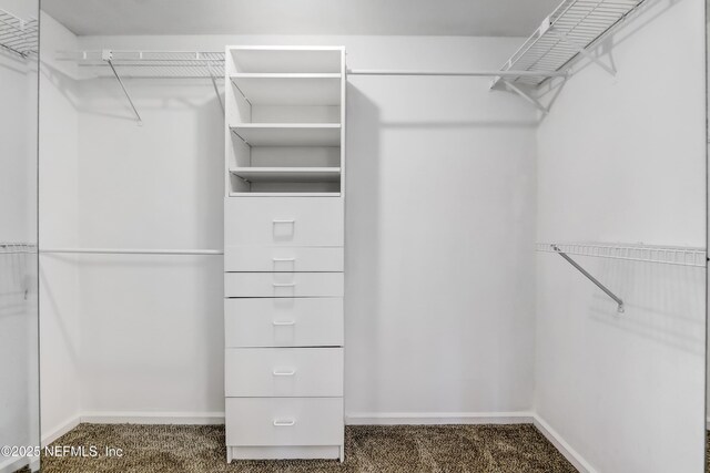 1803 Oakbreeze Ct, Jacksonville Beach, FL 32250 - spacious closet featuring carpet floors