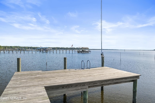 1798 Lakedge Dr, Middleburg, FL 32068 - photo 58
