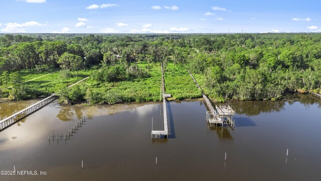 1798 Lakedge Dr, Middleburg, FL 32068 - photo 59