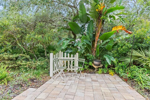 201 History Pl, Saint Augustine, FL 32095 - view of patio / terrace