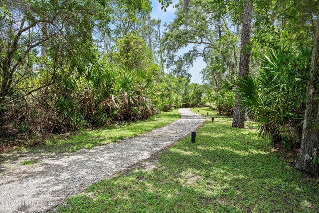 201 History Pl, Saint Augustine, FL 32095 - view of community featuring a yard