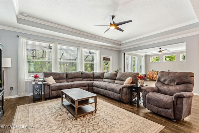 207 Hertford Bridge Way, Saint Johns, FL 32259 - living room featuring a ceiling fan, a tray ceiling, plenty of natural light, crown molding, and a textured ceiling