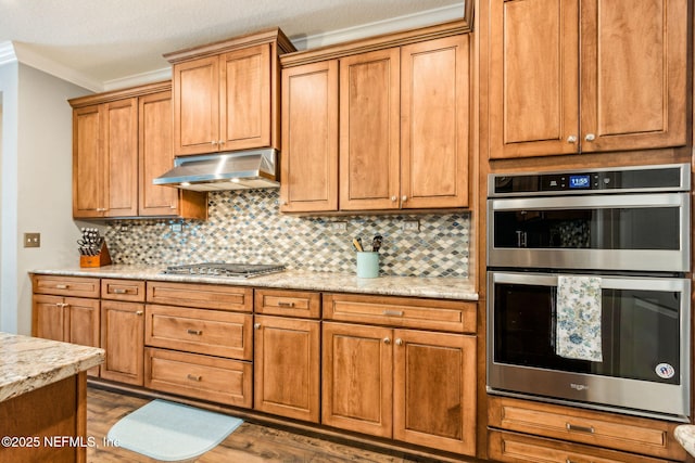 207 Hertford Bridge Way, Saint Johns, FL 32259 - kitchen with stainless steel appliances, ornamental molding, under cabinet range hood, tasteful backsplash, and wood finished floors