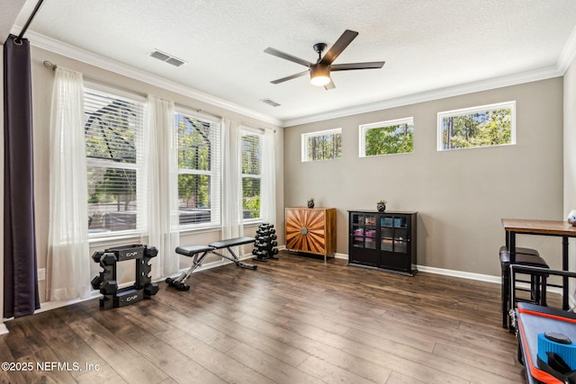 207 Hertford Bridge Way, Saint Johns, FL 32259 - workout room featuring a ceiling fan, crown molding, a textured ceiling, and hardwood / wood-style flooring