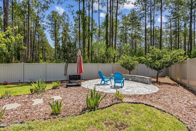 207 Hertford Bridge Way, Saint Johns, FL 32259 - fenced backyard featuring a patio area