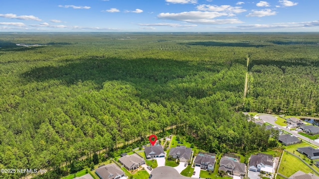 207 Hertford Bridge Way, Saint Johns, FL 32259 - aerial view of residential area with a forest