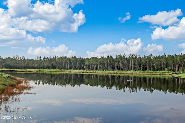 207 Hertford Bridge Way, Saint Johns, FL 32259 - water view with a heavily wooded area